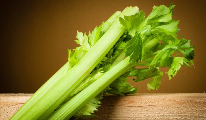 Pravi Celer: A Comprehensive Guide to This Unique Herb Pravi Celer